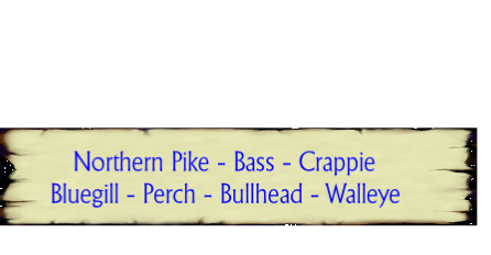  Northern Pike - Bass - Crappie
 Bluegill - Perch - Bullhead - Walleye